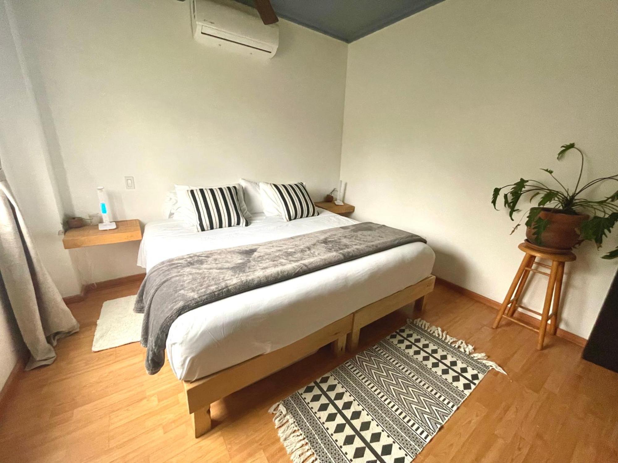 Estudio Terraza - Todos Santos - Centro エクステリア 写真